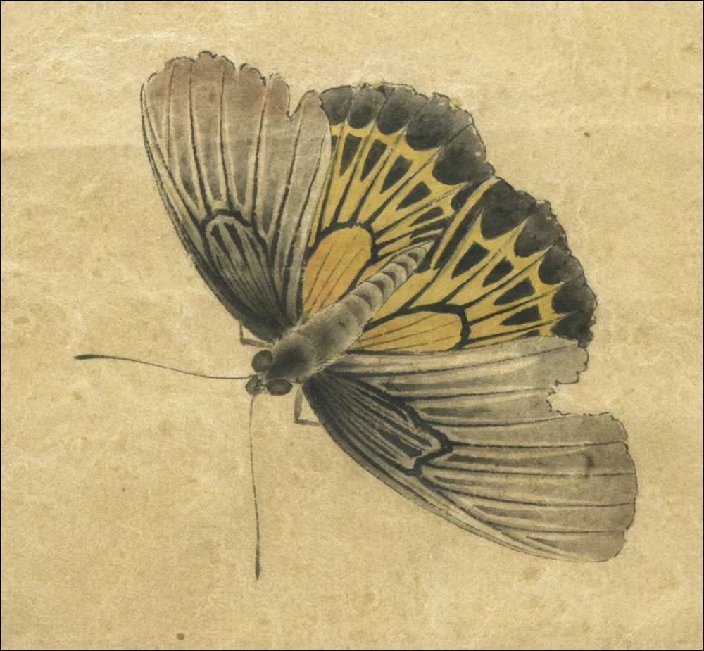 李晓明工笔画技法