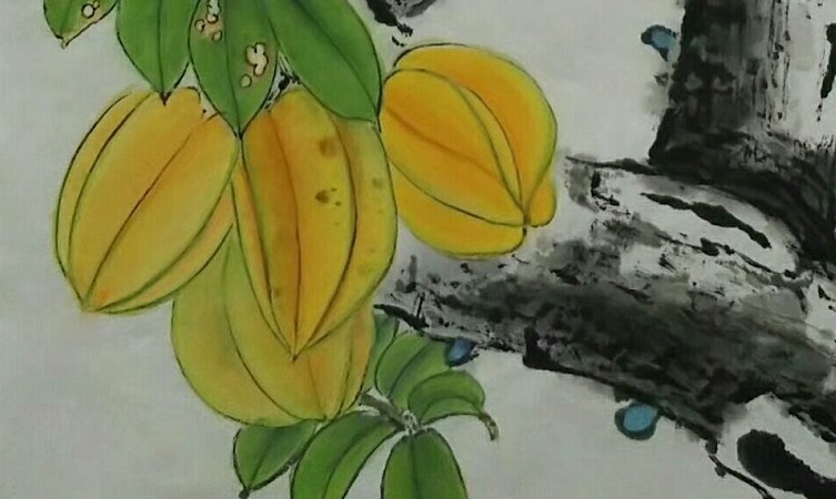 画杨桃：国画杨桃的画法